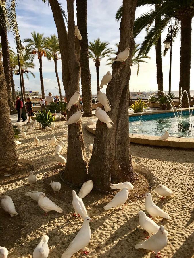 Cometa Center Benidorm Exteriör bild